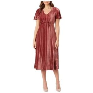 Briggs Pleated Velvet MIDI Dress Pink Maroon S NWT ⭐️